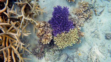 A001_10241031_C420_frame_0_11_44f_edited