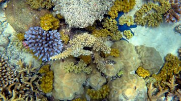 A001_10241035_C424_frame_0_12_45f_edited