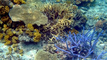 A001_10241036_C426_frame_0_12_41f_edited