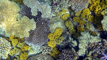 A001_10241041_C430_frame_0_00_43f_edited