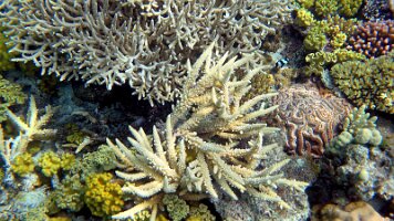 stunning stills_frame_0_06_21f_edited