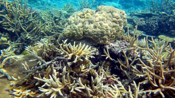 stunning stills_frame_0_17_41f_edited