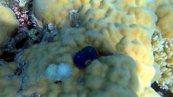 A001_10240906_C354_frame_0_14_43f_edited