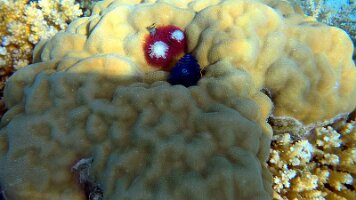 A001_10240906_C354_frame_0_18_56f_edited