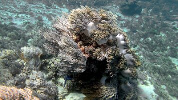 A001_10240912_C358_frame_0_07_27f_edited