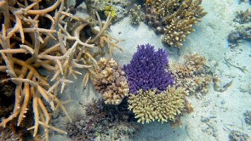 A001_10241031_C420_frame_0_02_0f_edited