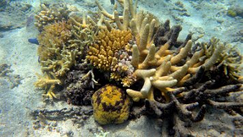 A001_10241045_C435_frame_0_06_48f_edited