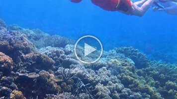 Jim and Pam pulled by boat