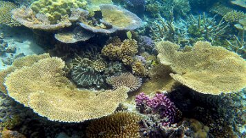 couple of stills_frame_0_08_14f_edited