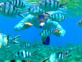 IMG_20240920_150919SING_0320 (1)_edited