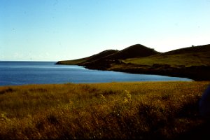 150. Kings Road on way to Suva