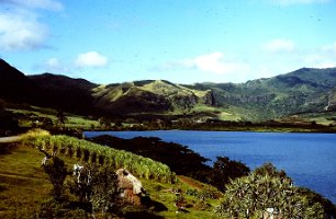 165. nice picture along road of bay