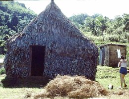 1980 Bure House Cleaning grass out of bure 2
