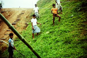 42. work detail outside of house