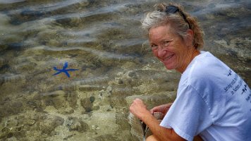 Nora and the Starfish