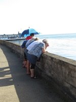 20191018084354_IMG_0448