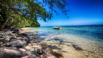 20191021_132830-Rod-PC