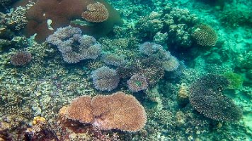 20181001_182441 166-Rod-PC