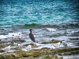 20191022055549_IMG_0557