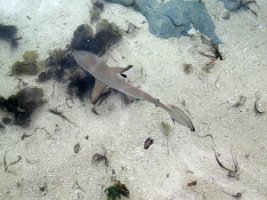 20191022065859_IMG_0570