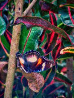 20191023040531_IMG_0605