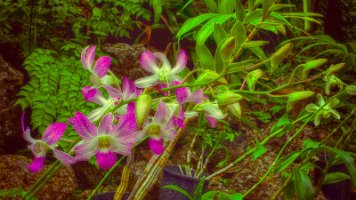 20191024_122138-Rod-PC