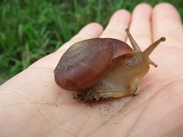 20191024035209_IMG_0673