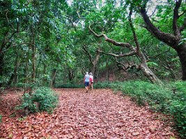 20191024051230_IMG_0694