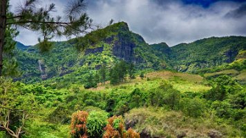 20191026_104309-Rod-PC