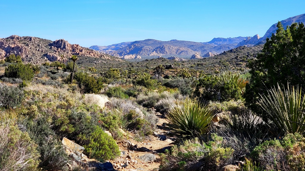 View from Big Trees Trail