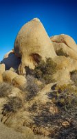 Skull Rock Scull Rock