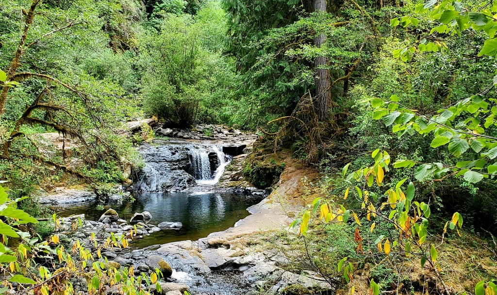 Falls Along Sweet Creek