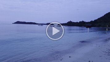 Morning from Biodiversity Beach