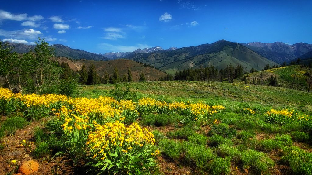 Fox Creek Loop