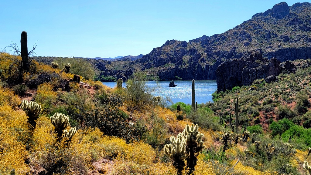 View at the End of the Trail