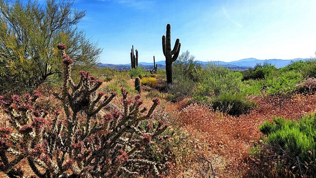 View from the Trail