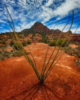 Ocotillo Rocks and Clouds Cathedral Rock Loop - 3