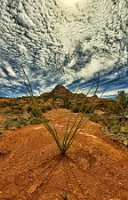 Ocotillo Rocks and Clouds Cathedral Rock Loop - 5