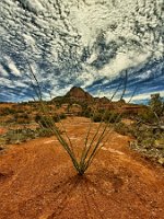 Ocotillo Rocks and Clouds Cathedral Rock Loop - 6