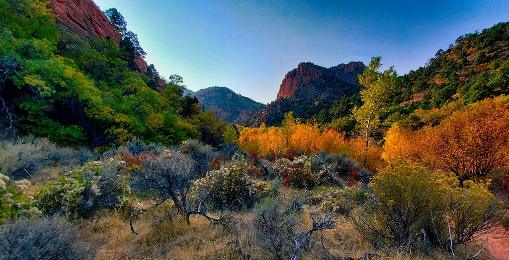 Spring Creek Canyon in Fall